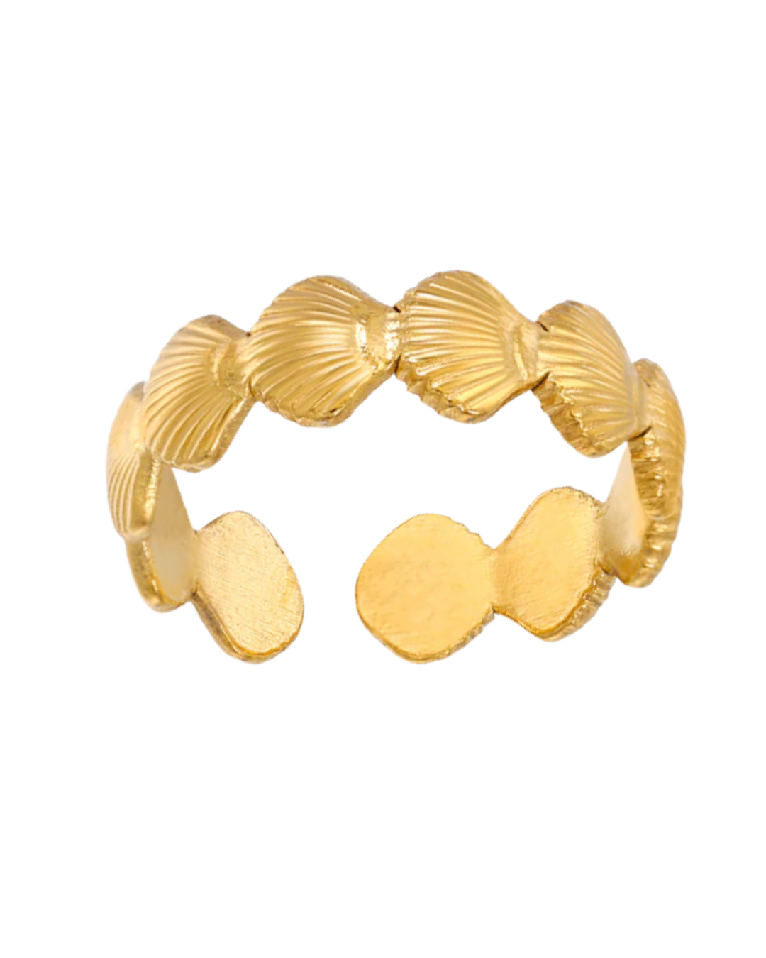 SHELLS RING